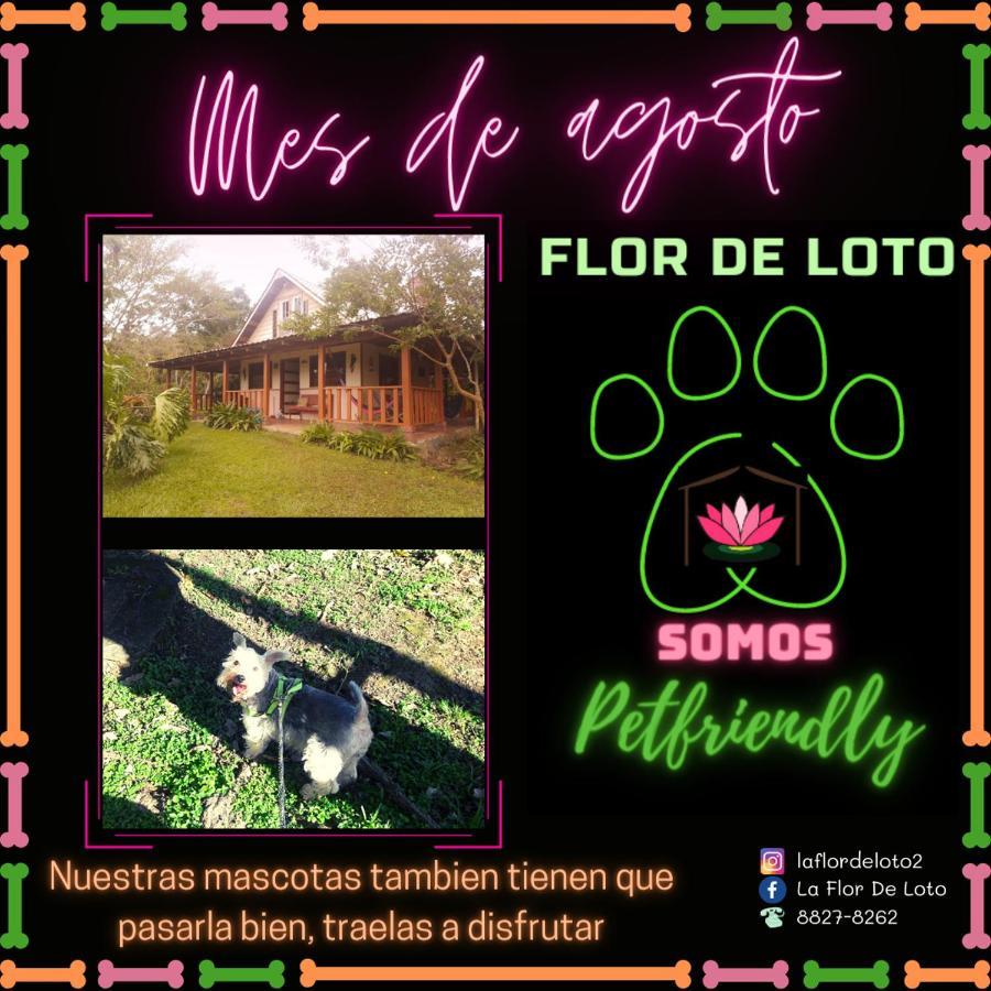Villa La Flor De Loto Cartago Exterior foto